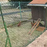 Gerardmer בית הארחה לה טולי