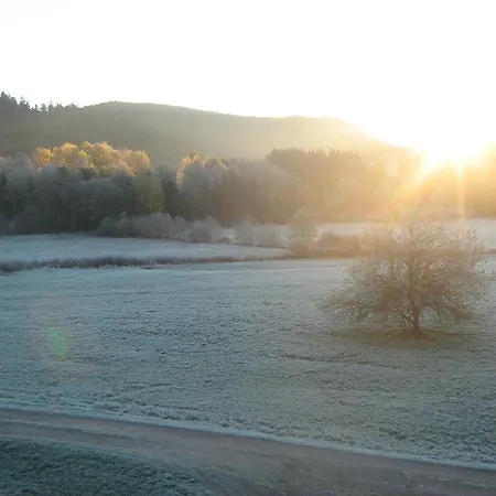 Gerardmer Situe A ル・トリー