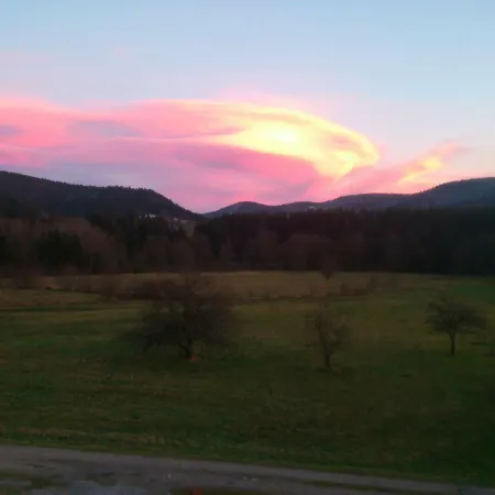 Gerardmer Situe A ゲストハウス ル・トリー