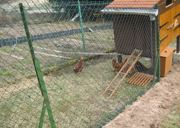 Gerardmer Situe A ゲストハウス ル・トリー