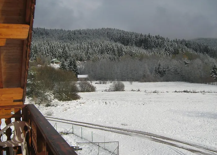 Gerardmer Situe A 3*