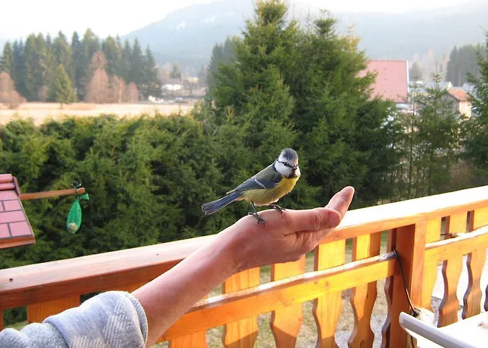 Penzion Gerardmer Situe A 3*