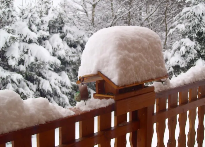 ゲストハウス Gerardmer Situe A 3*