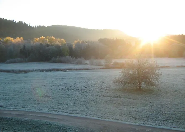 Gerardmer Situe A Le Tholy